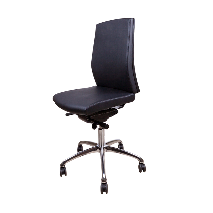 Professional Chair<br>Balance